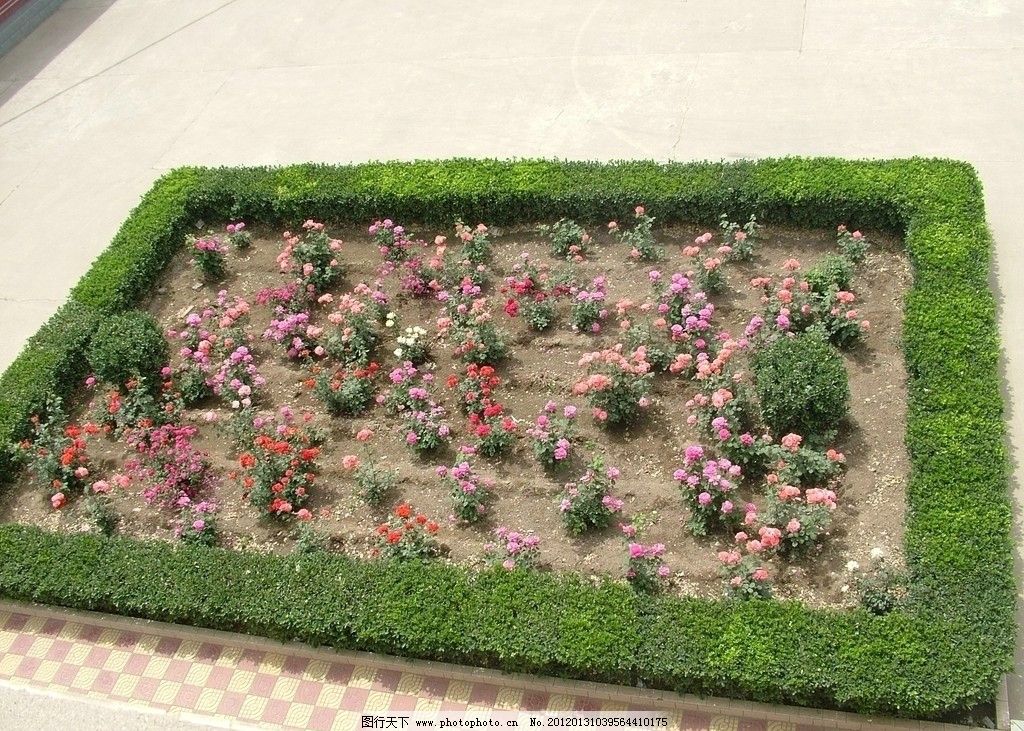 花圃 园林 环境 美化 花池 园林建筑 建筑园林 摄影 72dpi jpg