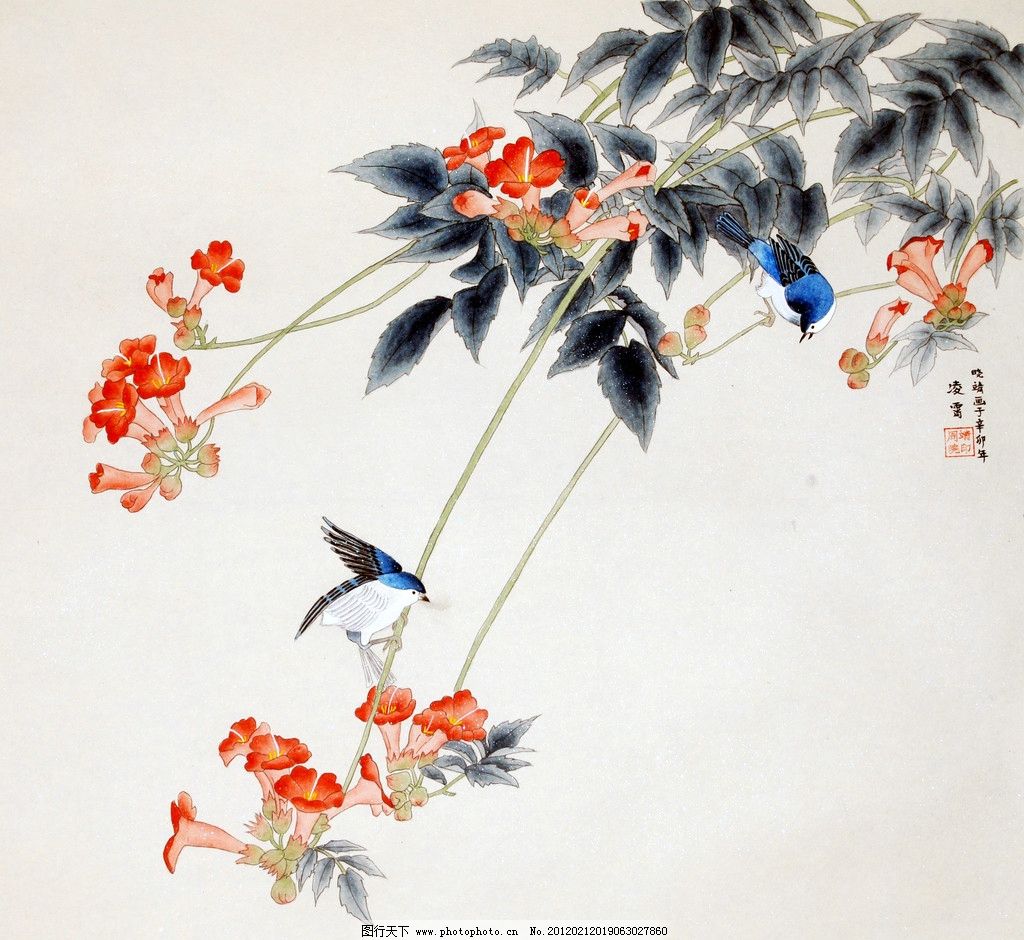 凌霄图片,美术 中国画 工笔画 花卉画 花木 花朵-图行天下图库