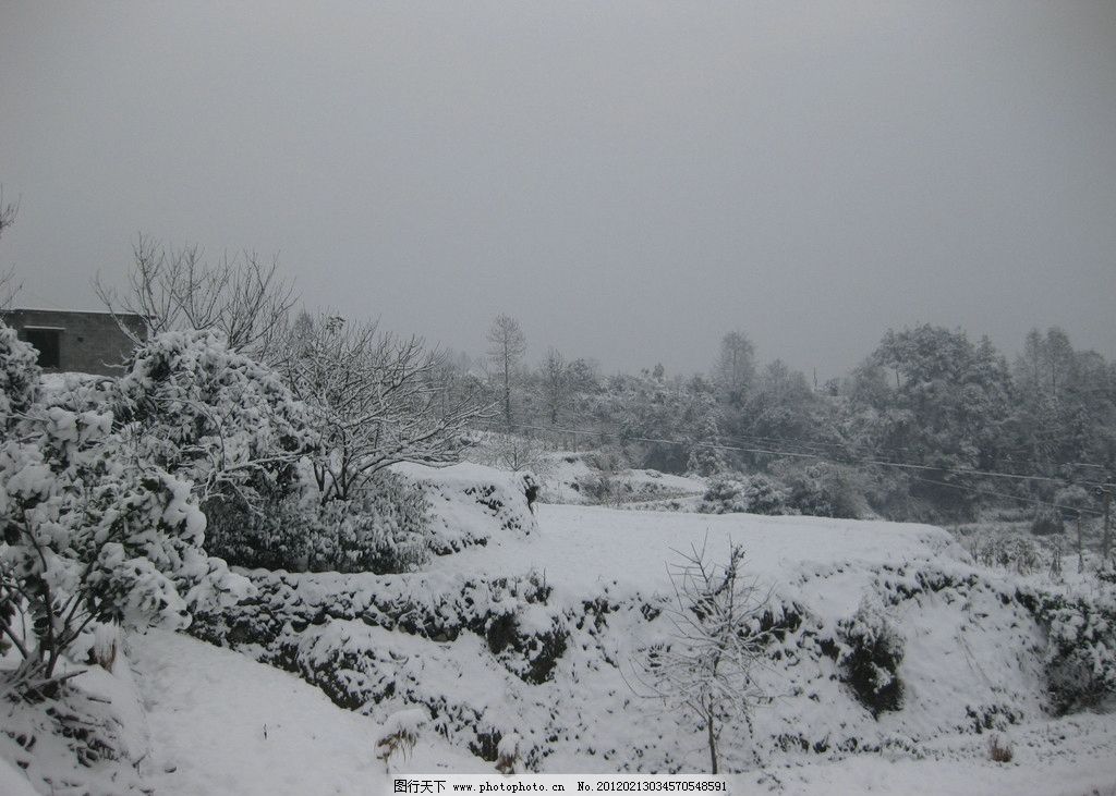 梦见雪，预示着什么？