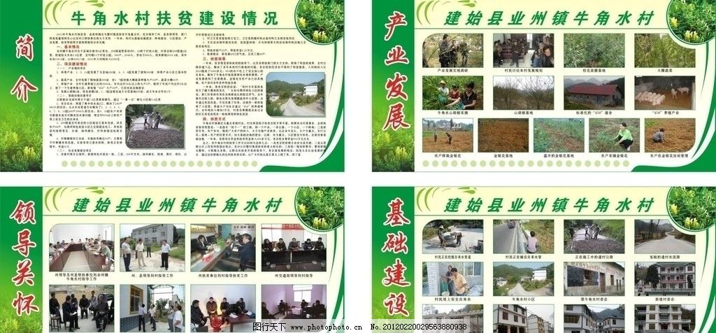 新农村展板图片,金银花 产业发展 基础建设 领导