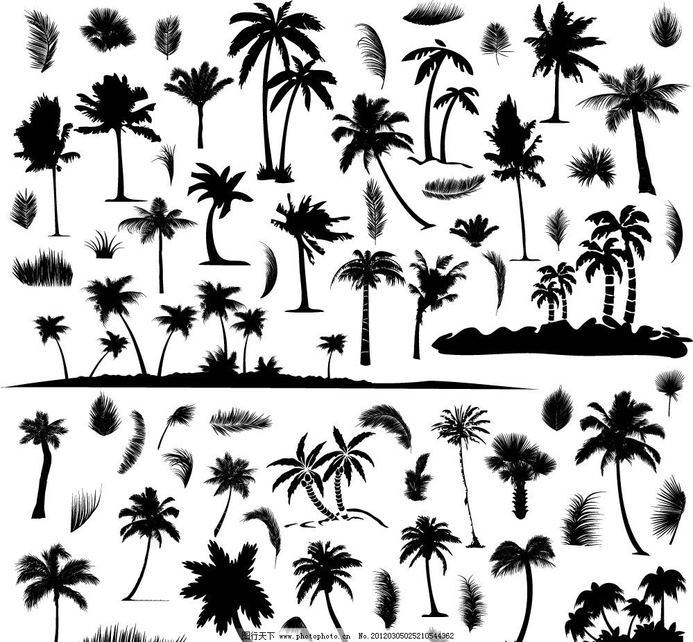 椰子树美好的沙滩度假