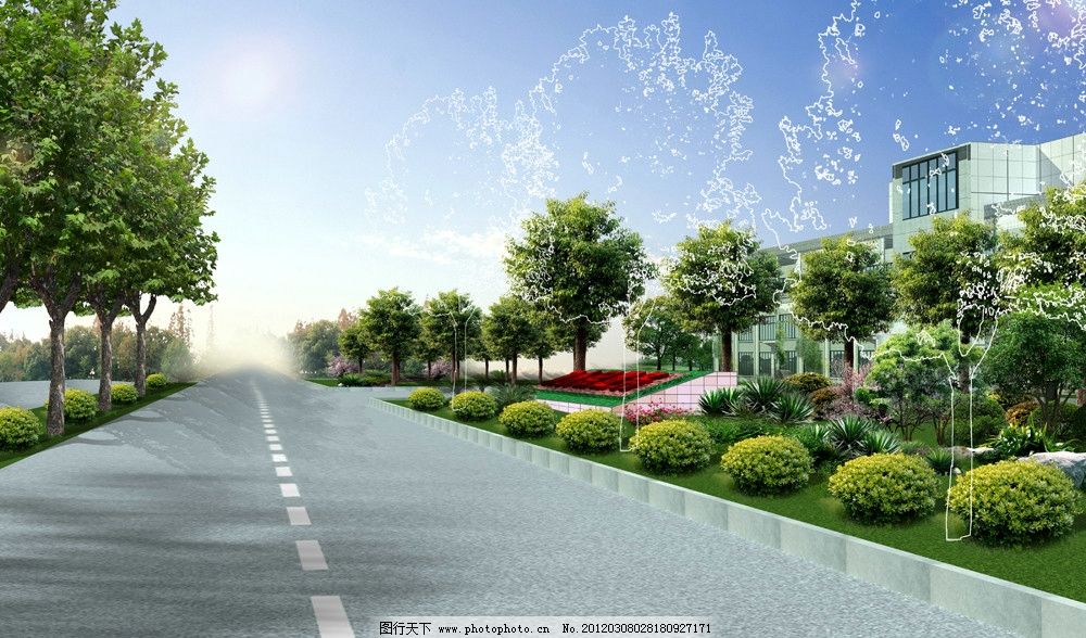 入口景观图片,政府 道路 海桐球 香樟 建筑 花池-图行