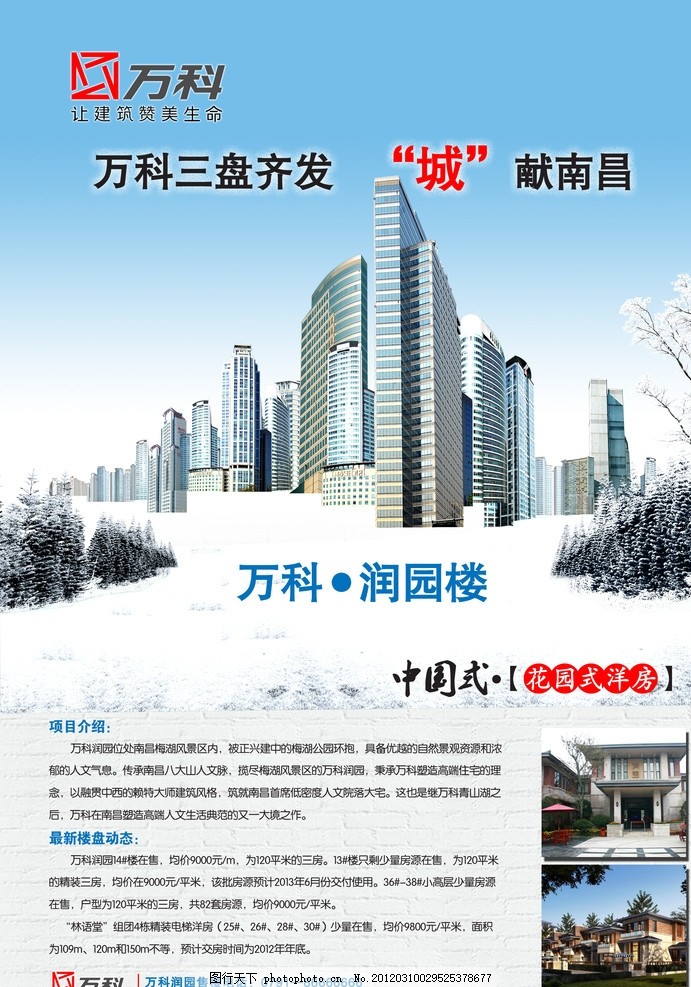 万科网站推广方案 图行天下