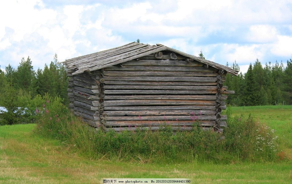 草地上的蘑菇房子 蘑菇 蘑菇房子 幻想 照片蒙太