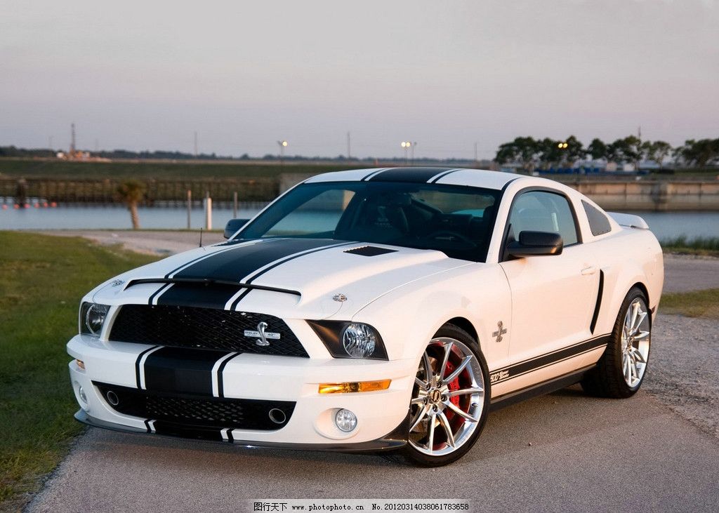 福特野马mustang跑车图片