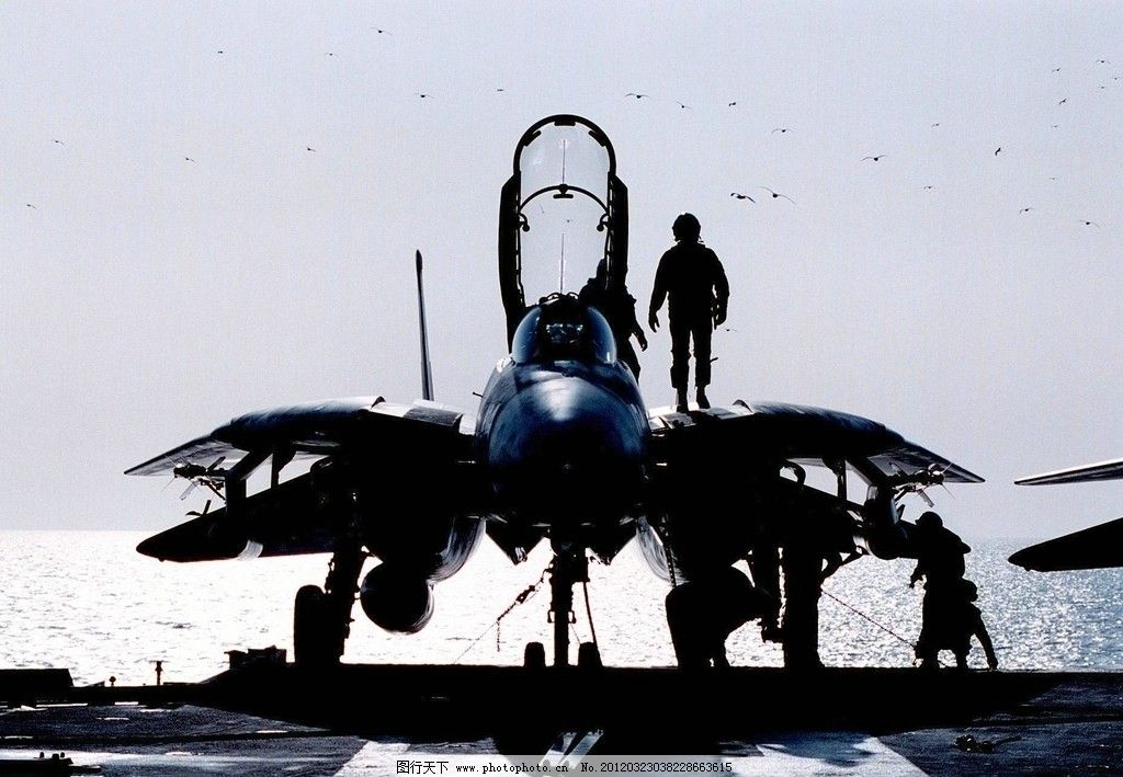 F14雄猫战斗机图片