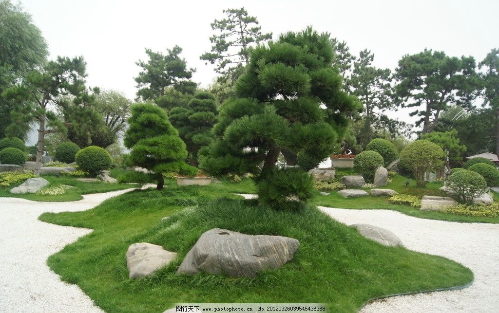 唐苑景观园林照片 唐苑 景观 景观小品 景观设计 唐式风格 日本风格 树木 风景 绿化 铺装 石头 灌木 植被 园林 350dpi JPG 园林建筑 建筑园林 摄影 350DPI