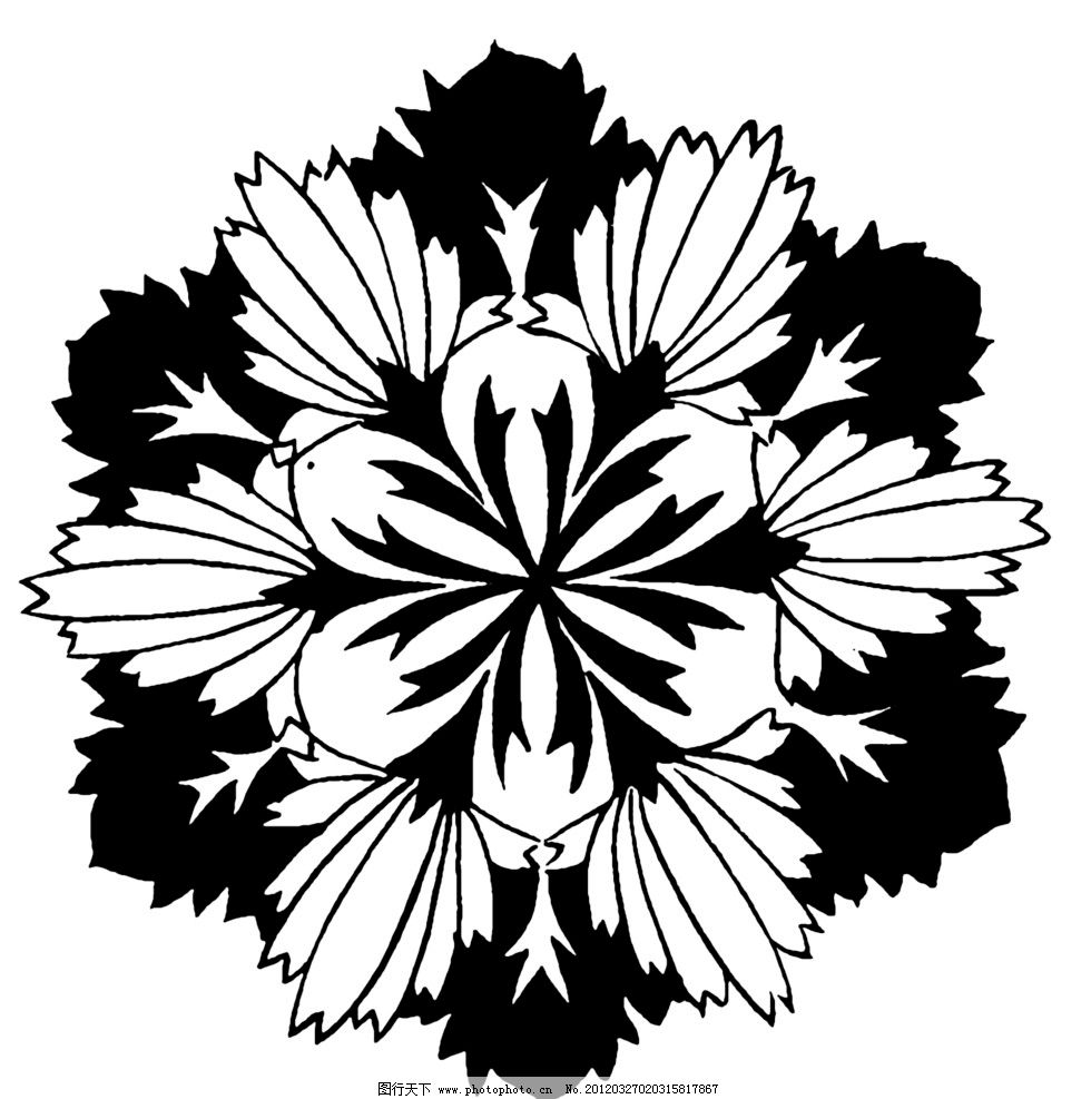 黑白花纹图片图片