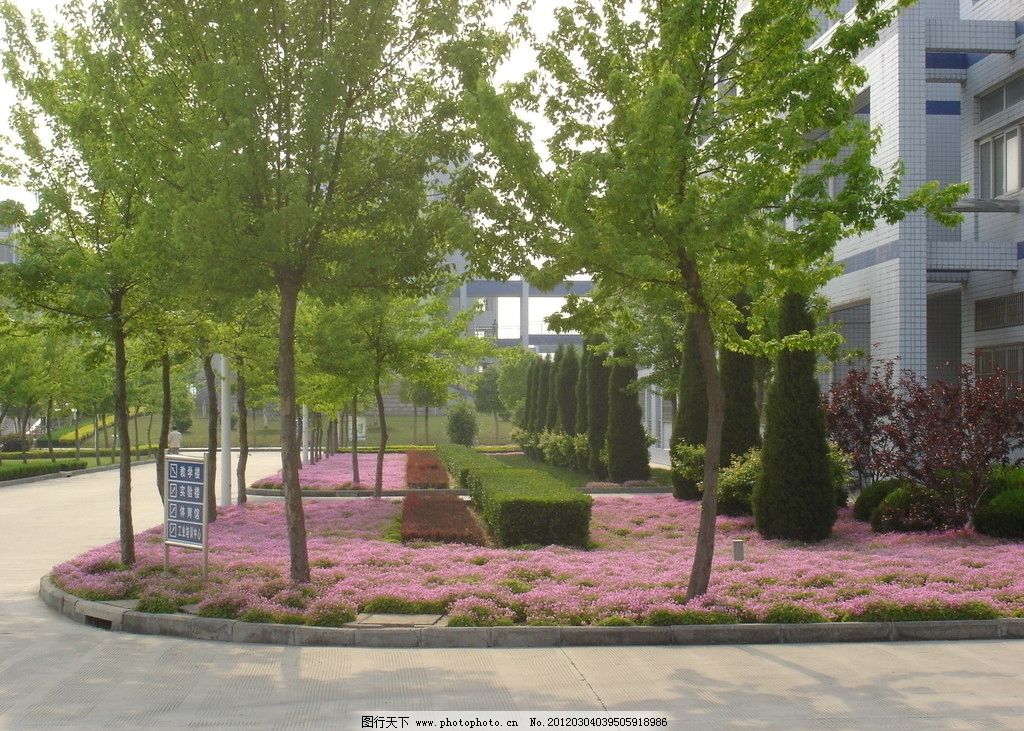 校园教学楼绿地景观,大学,校舍,绿化,草本,乔木,花卉